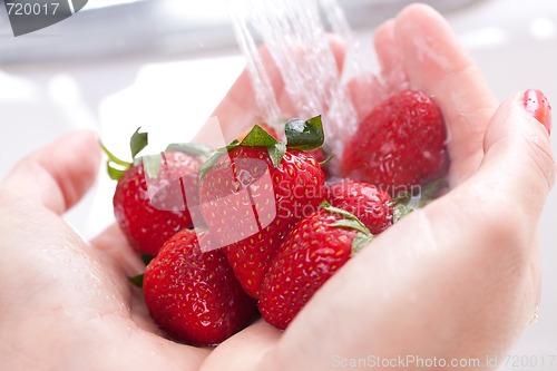 Image of Woman Washing Strawberries
