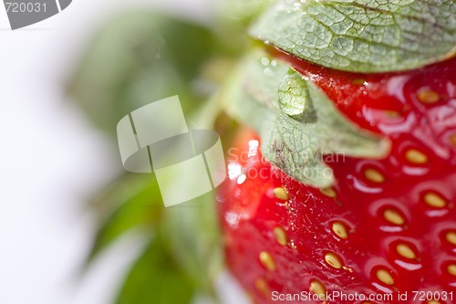 Image of Macro of Strawberry