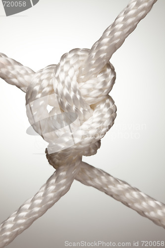 Image of Nylon Rope Knot