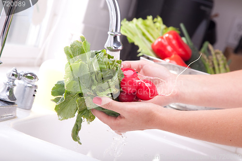 Image of Woman Washing Radish