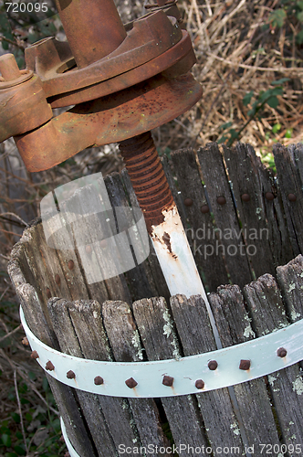 Image of Vinatge Grapes Press