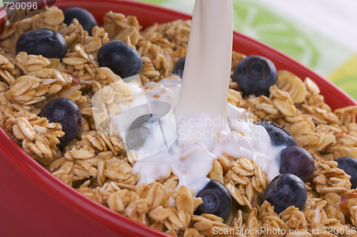 Image of Bowl of Granola and Boysenberries and Milk