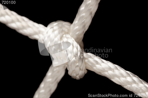 Image of Nylon Rope Knot