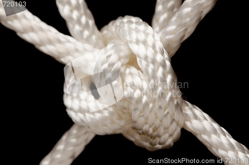 Image of Nylon Rope Knot