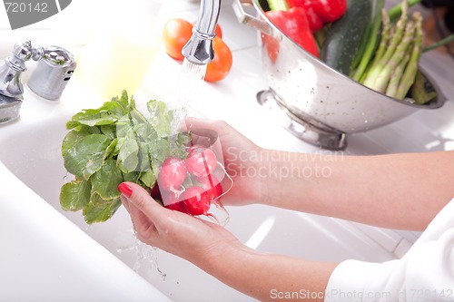Image of Woman Washing Radish