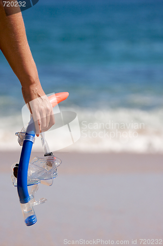 Image of Woman Holding Snorkeling Gear