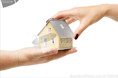 Image of Reaching For A Home