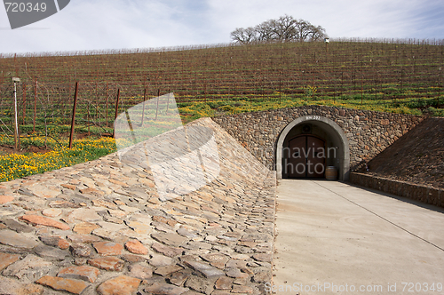 Image of Vineyard Hillside with Cellar Entry and Trees