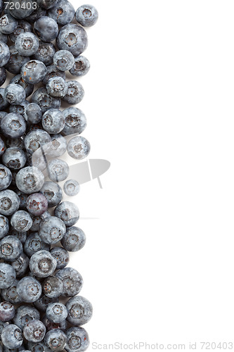 Image of Fresh Blueberries Border