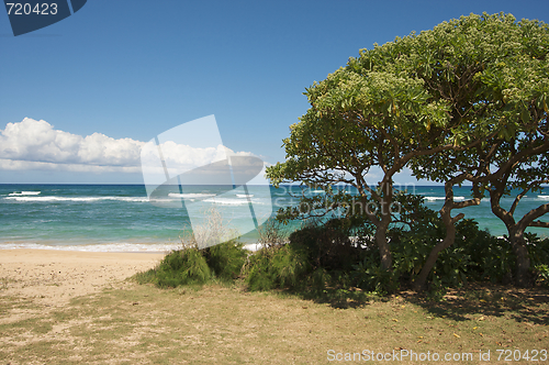 Image of Inviting Tropical Shoreline