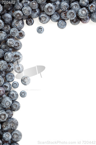 Image of Fresh Blueberries Border