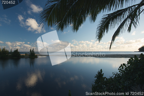 Image of Tropical Sunset with Palm Trees