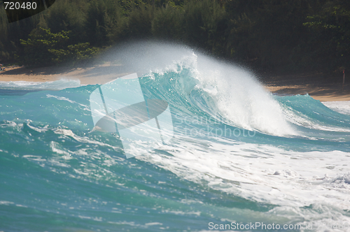 Image of Dramatic Shorebreak Wave