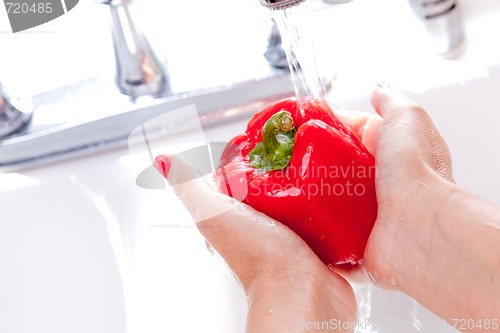 Image of Woman Washing Red Bell Pepper