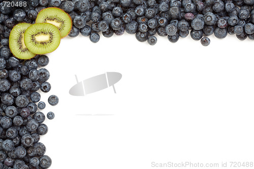 Image of Kiwi and Blueberries Border