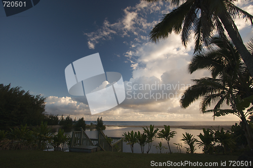 Image of Tropical Sunset with Palm Trees