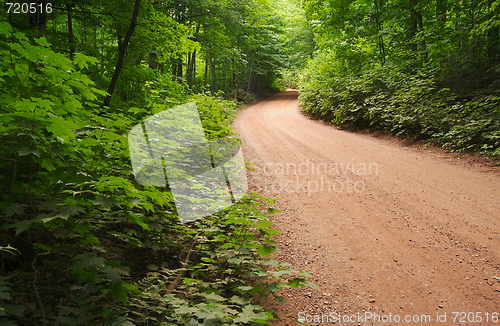 Image of Country road and meadow.