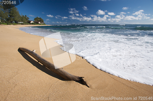 Image of Tropical Shoreline