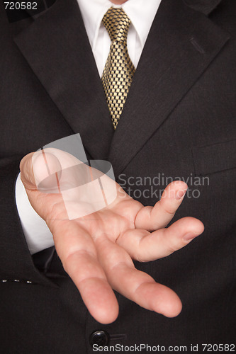 Image of Businessman Gesturing with Hand