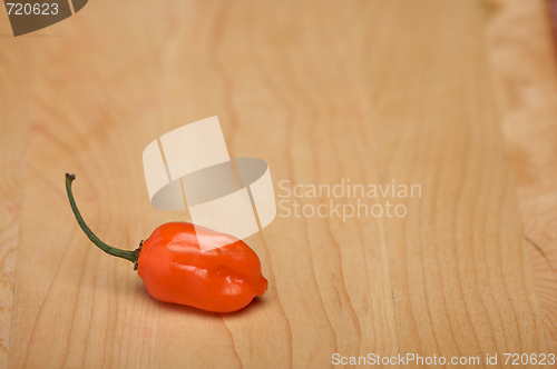 Image of Orange Chili Pepper