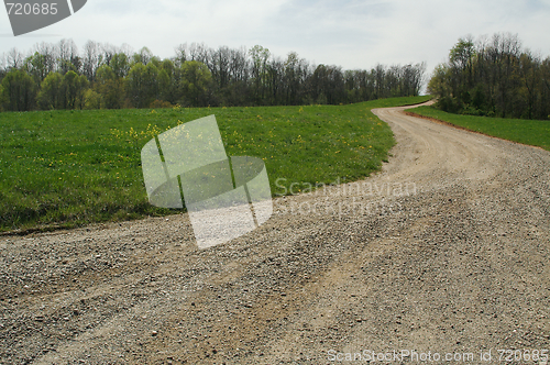 Image of Country road and meadow.