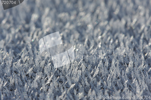 Image of Morning Frost Crystals