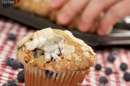 Image of Fresh Blueberry Muffins