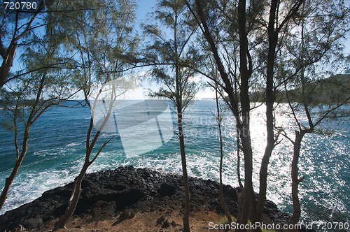 Image of Tropical Shoreline