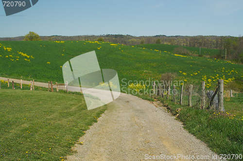 Image of Country road and meadow.