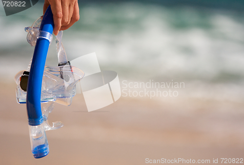 Image of Woman Holding Snorkeling Gear