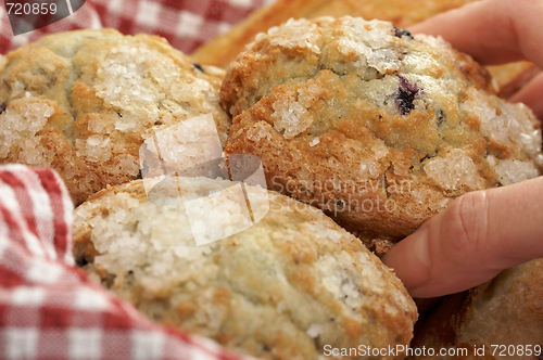 Image of Blueberry Muffins in Basket