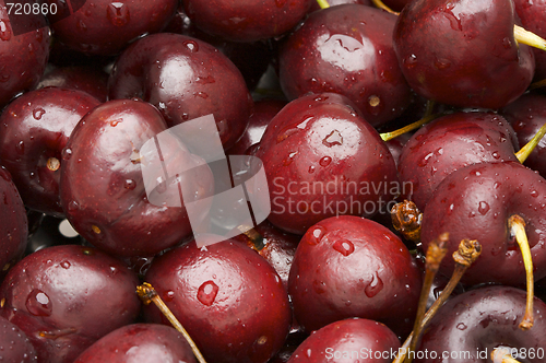 Image of Bunch of Fresh Cherries