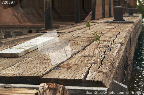 Image of Abstract of Old Abandoned Dock