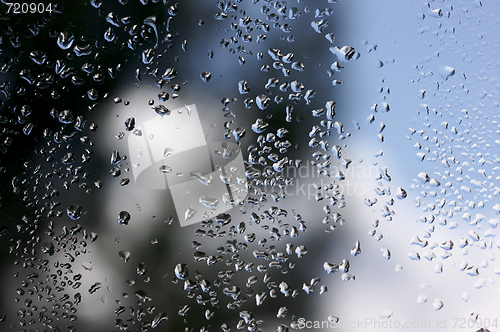 Image of Rain Drops on Window