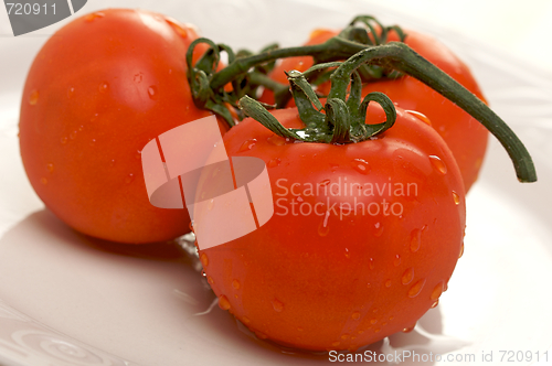 Image of Fresh Red Tomatoes on White Plate