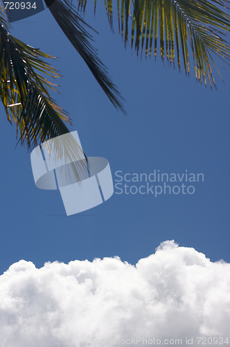 Image of White Cumulus Clouds