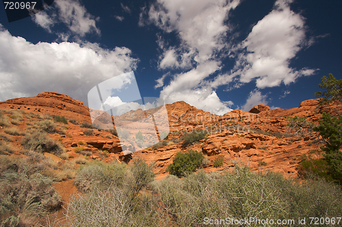 Image of Red Rocks of Utah