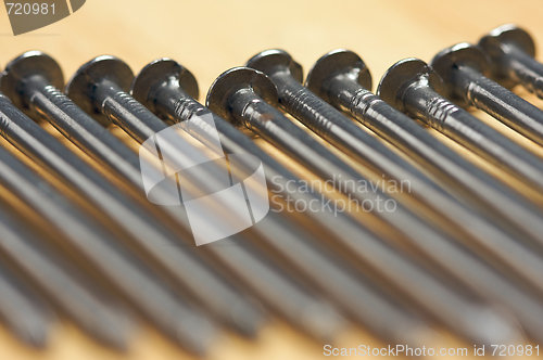 Image of Macro of Nails on Wood