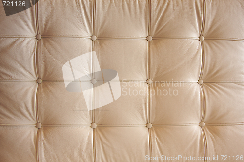 Image of Comfortable Buttoned Leather Pattern