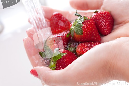 Image of Woman Washing Strawberries