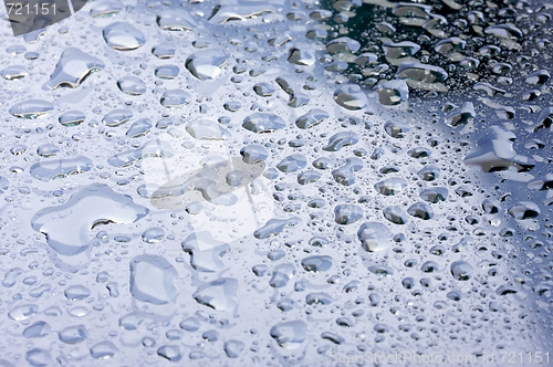 Image of Water Drops on Glass