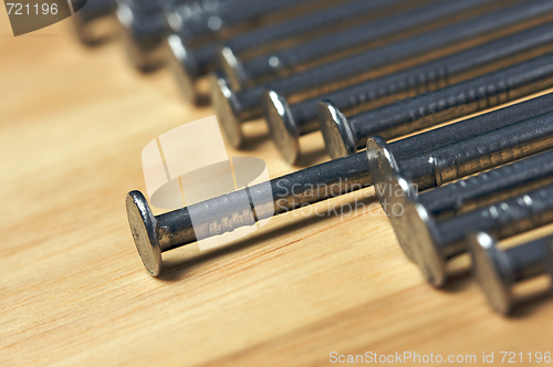 Image of Macro of Nails on Wood
