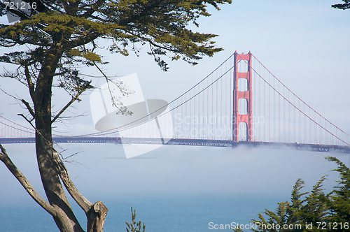 Image of The Golden Gate Bridge in the Morning Fog