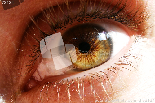 Image of eye, my eye