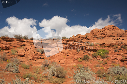 Image of Red Rocks of Utah