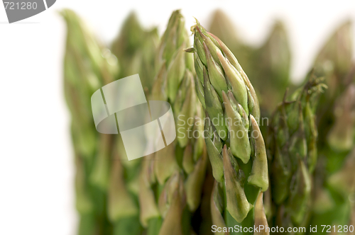 Image of Fresh Organic Asperagus