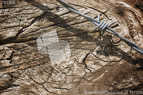 Image of Aged Wood Texture and Barbed Wire