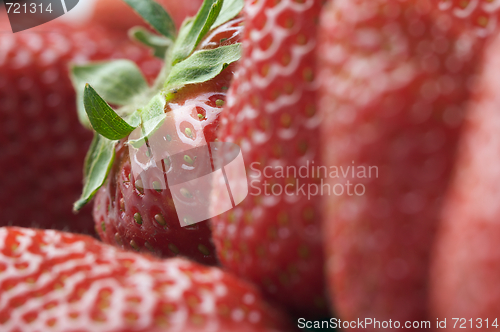 Image of Close-up Strawberries