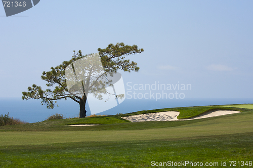 Image of View from Torrey Pines Golf Course