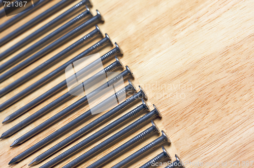 Image of Macro of Nails on Wood